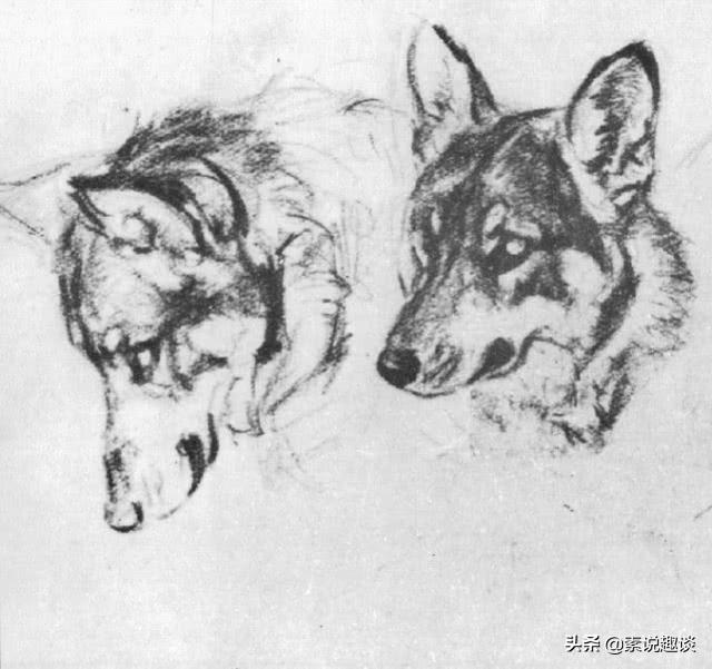 刘继卣画虎作品图，刘继卣珍贵绘画手稿