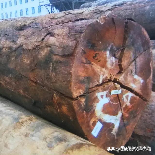 适合地热的实木地板板材，极地阳光带你探索深山选择发热地板的好木材