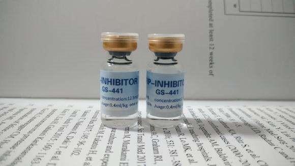 猫传腹怎么治疗，猫传腹怎么治疗好的（猫传腹症到底应该怎么治疗呢）