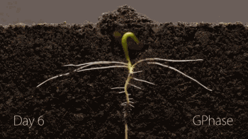 缩时风光摄影作品，大开眼界的16个缩时摄影