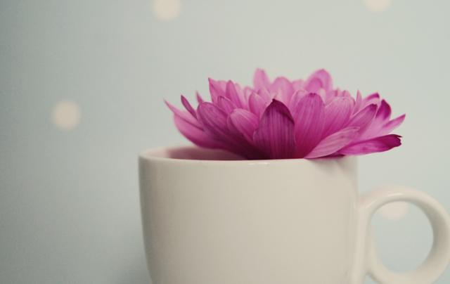 人到中年：你的圈子，决定你是谁