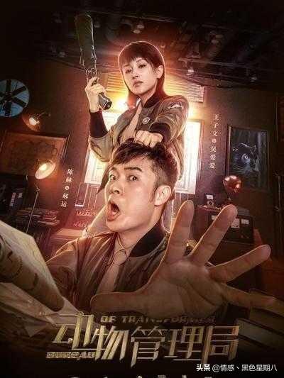 陈赫演的连续剧有哪些，陈赫演过这15部电视剧