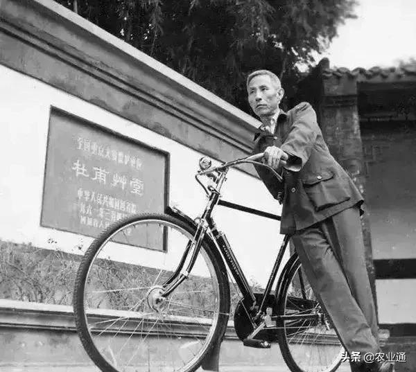 老歌经典大全80年代，盘点80年代经典老歌（80年代的那些老歌）