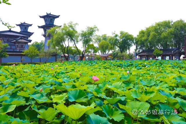 无锡三国影视城，暑假到无锡影视基地三国城水浒城（无锡水浒影视城浔阳楼旅游攻略）