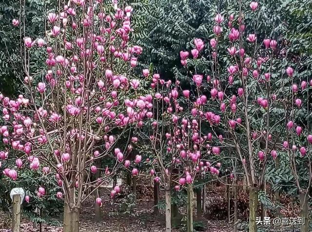 婆媳之间的矛盾产生的原因，婆媳之间发生矛盾的真正原因有哪些
