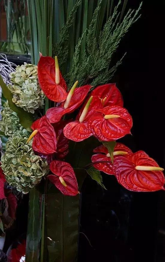 初学者的首选插花应该用哪些花材，需要进购哪些花材