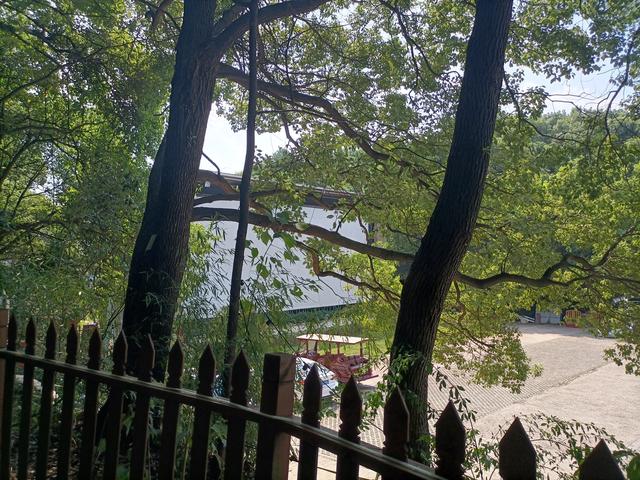 长沙市内十大公园，长沙本地人告诉你这10个地方不能少