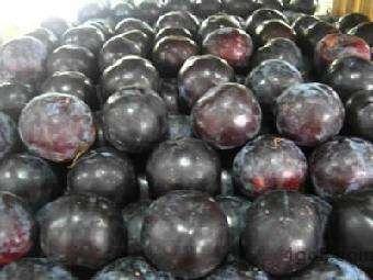 黑布林与黑李有区别吗，被我国改变了身价的水果