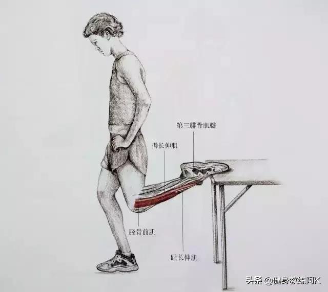 防止小腿变肌肉腿的拉伸动作，跑后7大拉伸动作