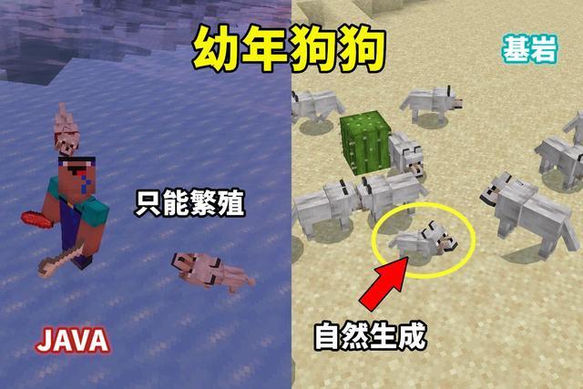 我的世界版本区别，我的世界几个版本的区别（Java版将分为大版本和小版本）