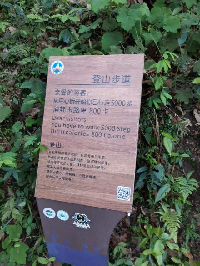 武功山旅游攻略，武功山旅游攻略一日游（江西武功山\u0026仙凤三宝亲子游记）