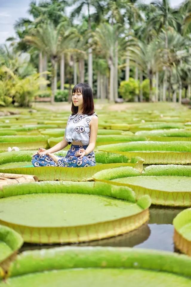 西双版纳旅游必去景点，西双版纳值得一去的景点（热带雨林与人文历史交相辉映）