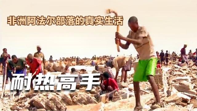 最耐热的非洲部落，非洲的地势特点和最大的沙漠