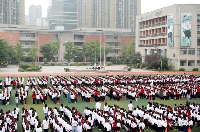 重庆谢家湾小学，重庆谢家湾小学入学要求（九龙坡三年内将增2.3万个学位）