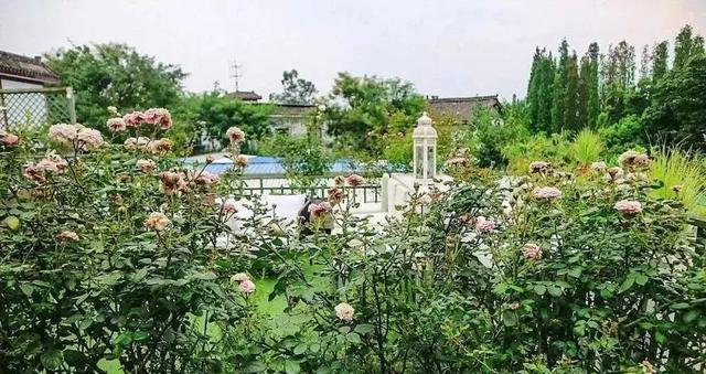 成都周边好玩的农家乐推荐，成都这4个冷门农家乐