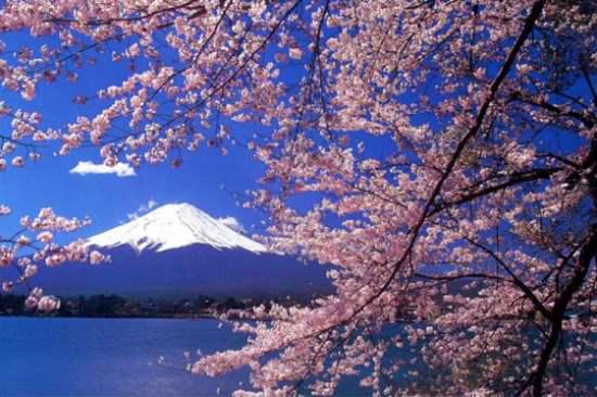富士山是私人的吗，日本富士山全风景（日本富士山竟是私人拥有）