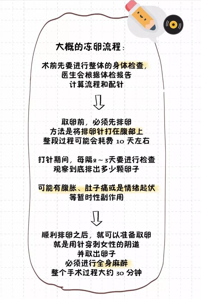 猫的生育常识和技巧，最全的入门级生育指南