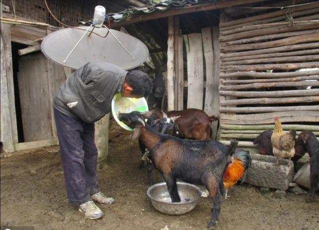 陈星银颁奖典礼，含勺喂母感天动地