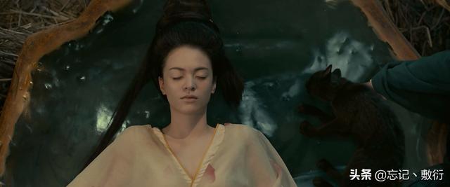 春宵苦短日高起，关于人生苦短及时相爱的诗句（春宵苦短日高起）