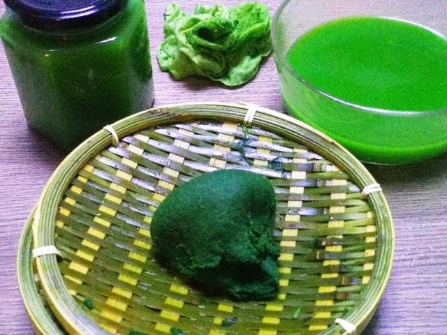 田艾籺的产地在哪里，家乡田艾籺江南青团子