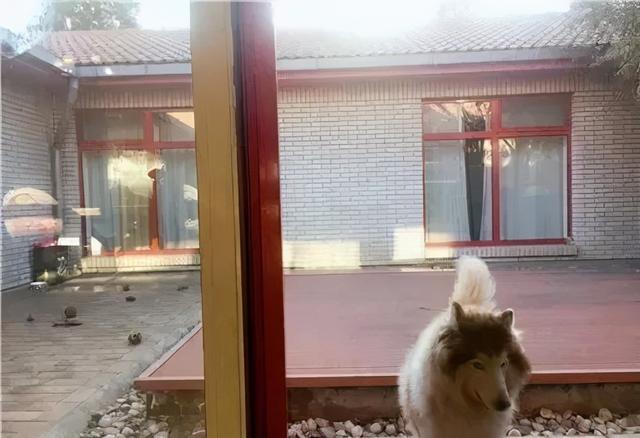 张若昀帮父亲还债是真的吗，张若昀把亲爹告了令人意外