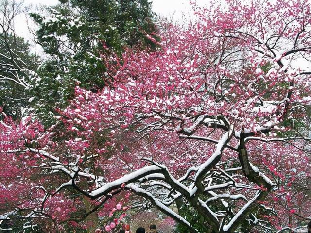 佛门四大名寺，藏传佛教著名寺院盘点