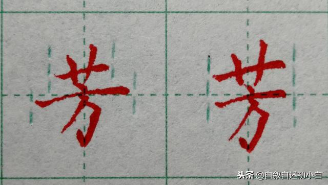 草字头加长怎么读，草书练字教程米字格（<二>艹、屮、艸、芔、茻）