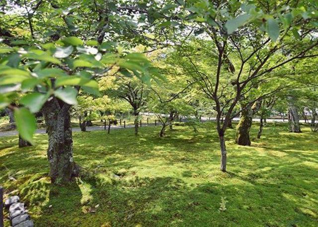  南山寺旅游攻略，南山寺最好的游览攻略