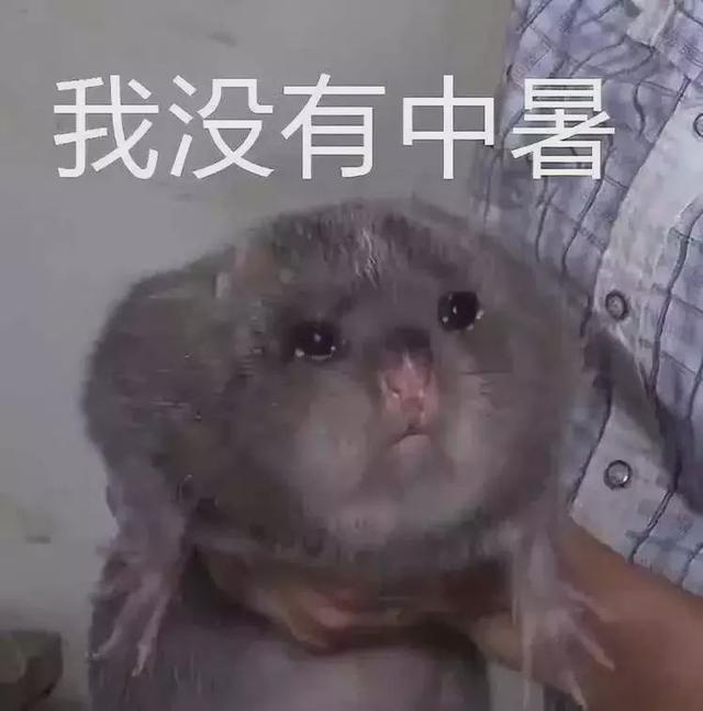属鼠的都有哪些明星，请记住这些明星鼠