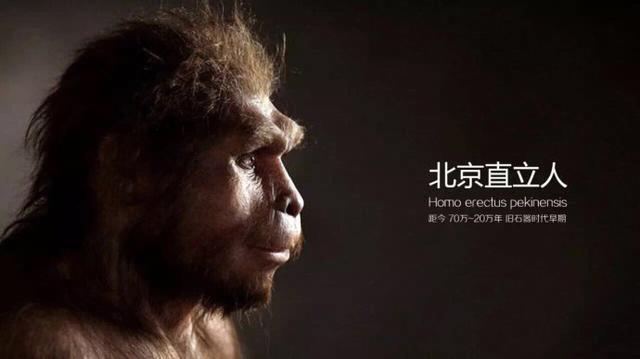 原始人进化图片，人类进化全过程证据