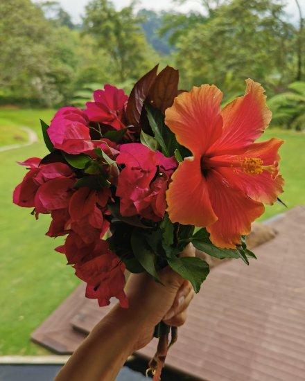 阔太胡静有多美，豪门阔太胡静扮嫩发嗲变网红