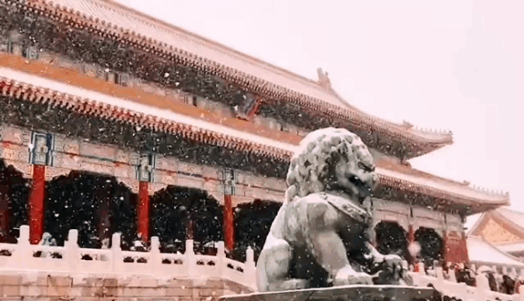 故宫初雪一夜梦回紫禁城，故宫初雪吸引了无数人