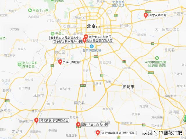 北京花卉批发市场，北京花卉批发市场什么时候开业（北京宝藏花卉市场）