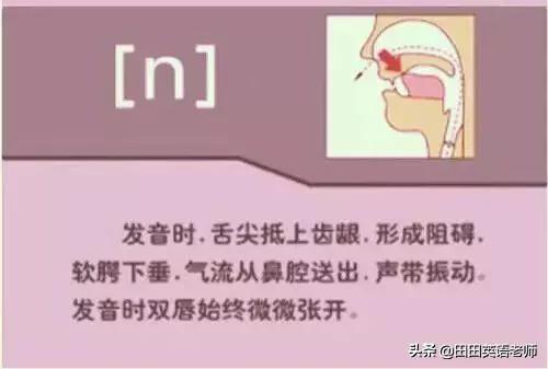 英语音标怎么学，初学英语者必看如何学习国际音标（资深老教师说：音标就该这样学）