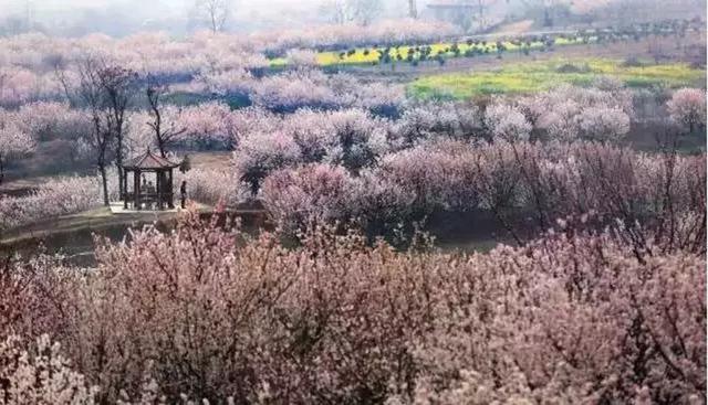 徐州回龙窝的来历，聊聊徐州老街巷回龙窝的前世今生