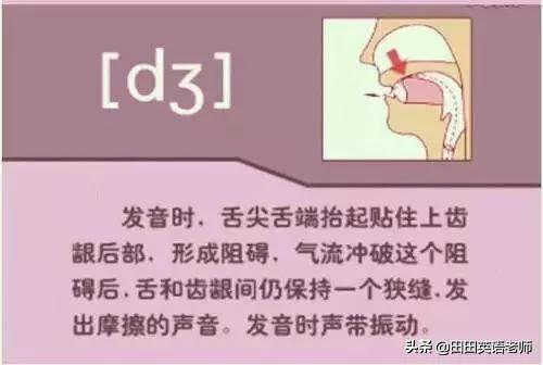 英语音标怎么学，初学英语者必看如何学习国际音标（资深老教师说：音标就该这样学）