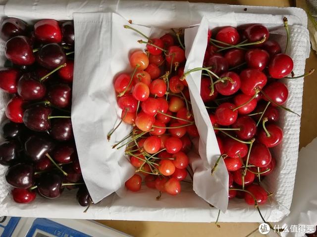 国产樱桃品种对比，国产樱桃品种及购买一些介绍