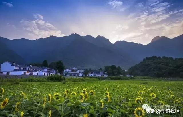 河南乡村旅游发展，嵩县：打造有特色的乡村游