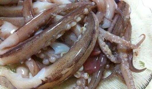 鱿鱼哪里不能吃，鱿鱼都哪不能吃（这才是鱿鱼的正确打开方式）