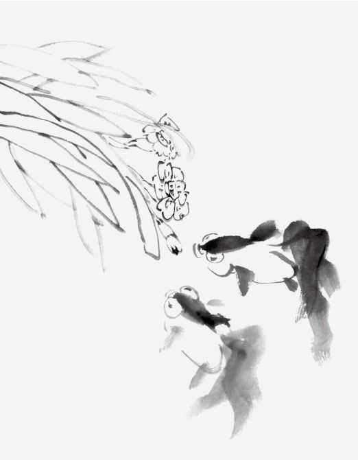 国画金鱼的画法步骤简单，张素贞老师的国画金鱼的详细过程图