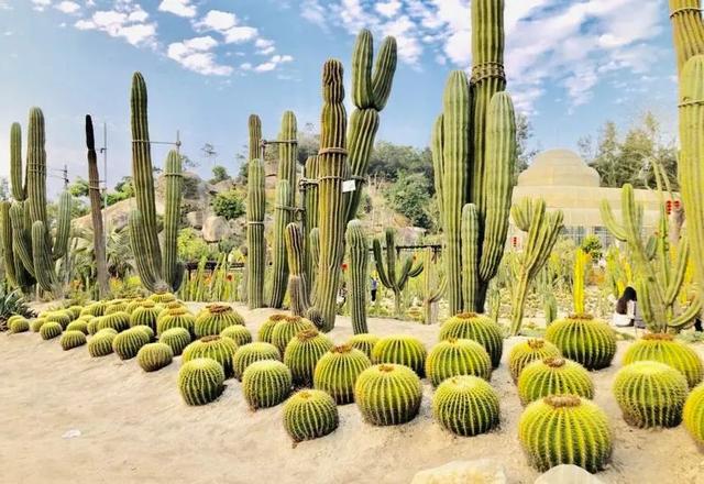 厦门网红打卡地不凡之地，厦门这些网红地