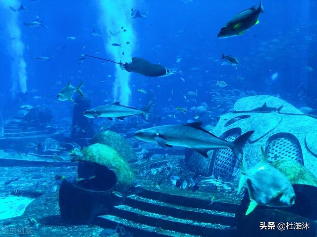 三亚自由行攻略，三亚旅游攻略自由行最佳线路攻略