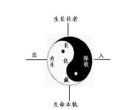 做完狐臭手术对肾(做完狐臭手术对身体好吗)