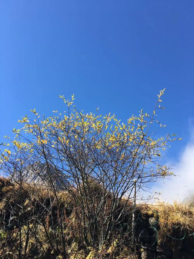 毕棚沟二日游攻略，成都到毕棚沟自驾游全攻略（人均300+真的太美啦）