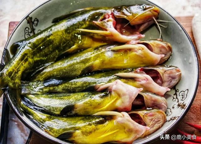 豆腐煮黄骨鱼家常做法，10块买4条黄骨鱼搭配豆腐焖