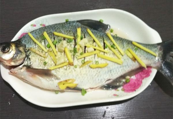 红烧鳊鱼的家常做法，红烧鳊鱼的做法第一美食（红烧鳊鱼最好吃做法）