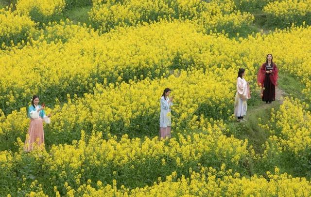 春天踏春赏花时间表，2023春日赏花踏青去哪