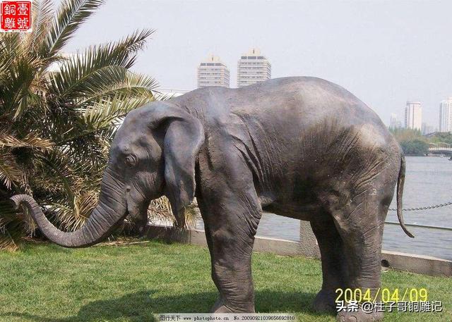 大象的摆放禁忌，结婚庆典门口放一对大象