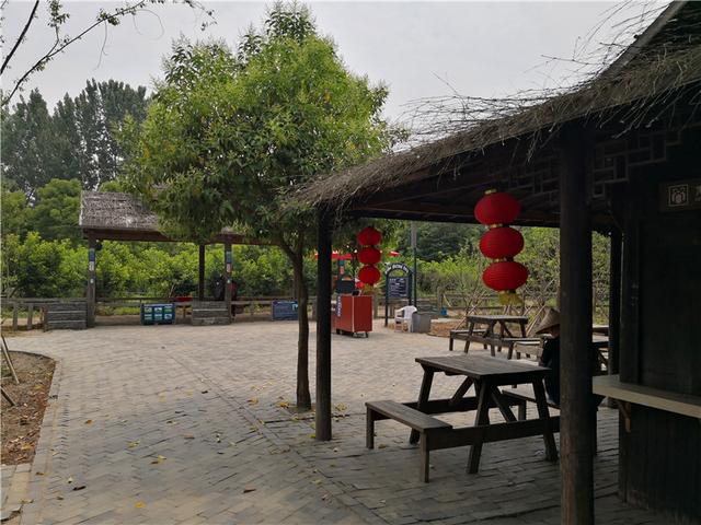 泰州溱湖湿地公园，江苏溱湖国家湿地公园（泰州溱湖国家湿地公园）