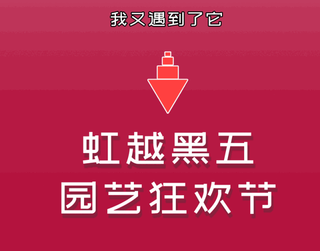 园艺批发市场，这个园艺市场本周末放大招